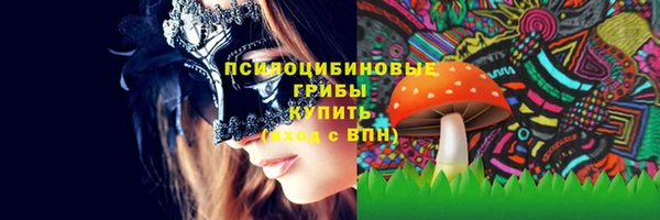 ешки Абинск