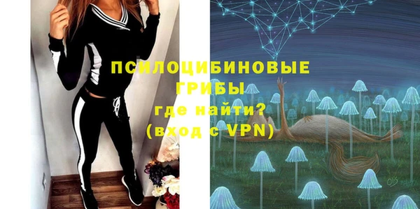 ешки Абинск