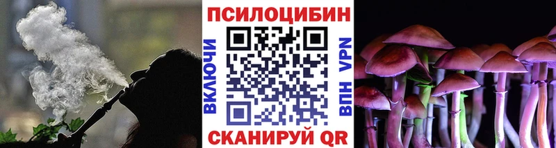 Псилоцибиновые грибы GOLDEN TEACHER  Райчихинск 